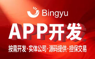 移动互联时代的全链路服务商 移动化信息网络、IT咨询与电子商务的深度融合